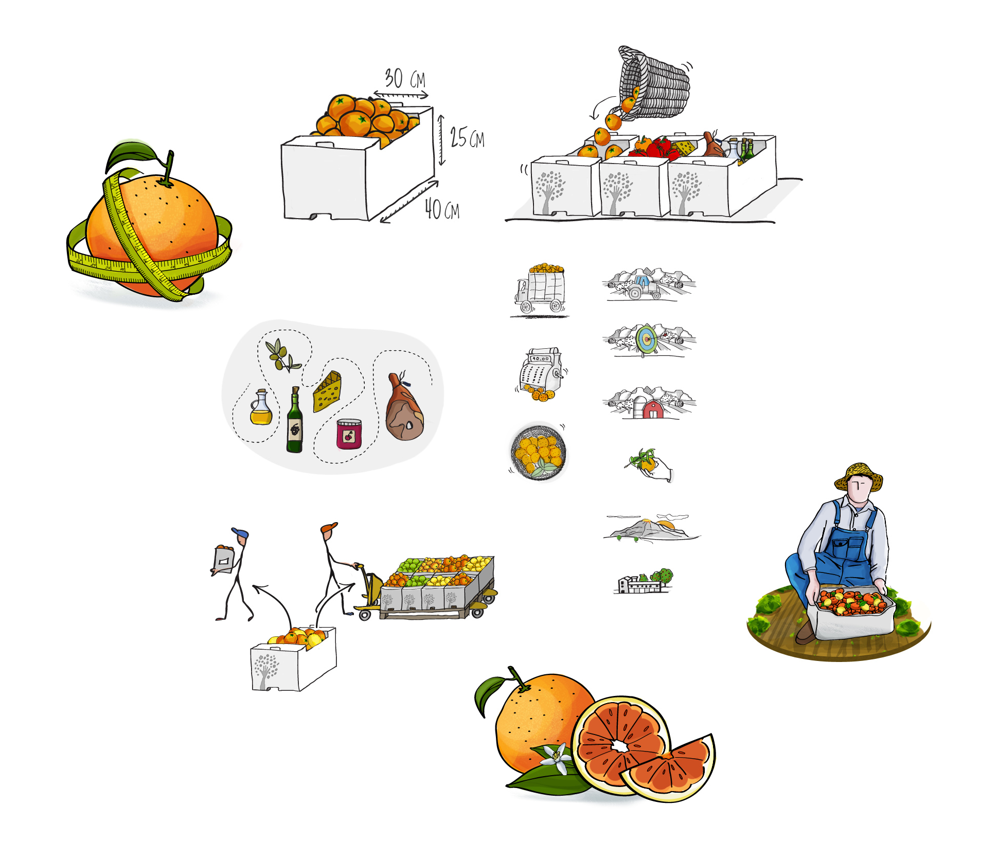 illustrations inca