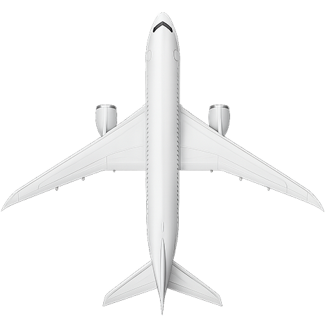 Fly